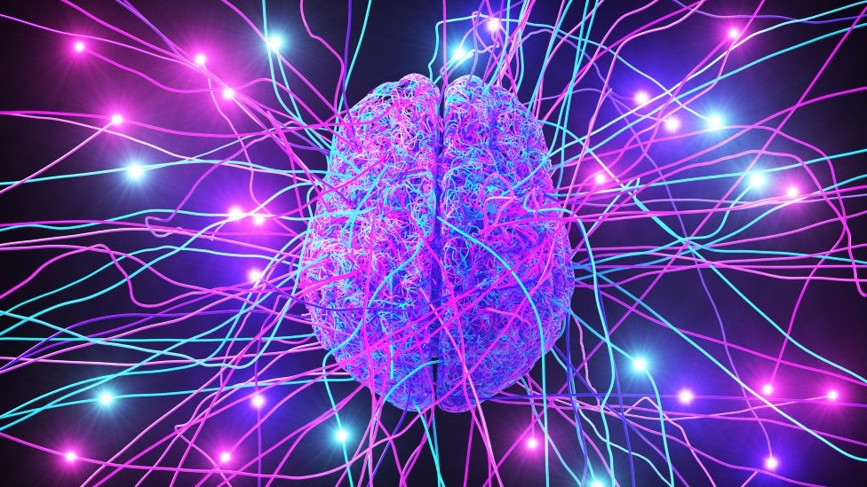 Estado destina recursos para estudos em neurociências