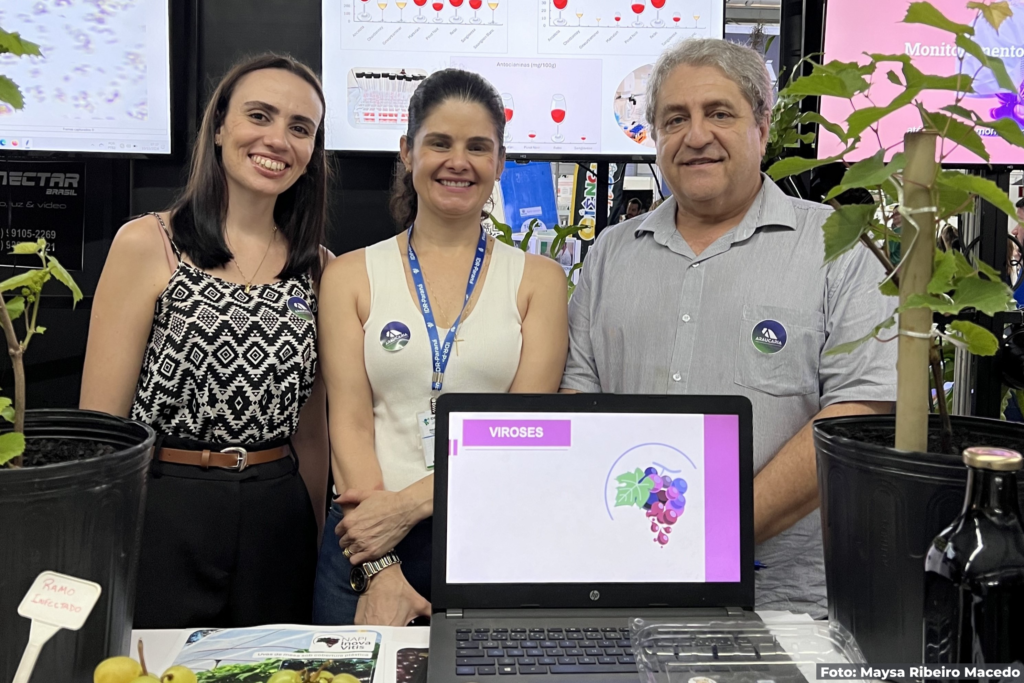 NAPI Inova Vitis destaca inovações no cultivo…
