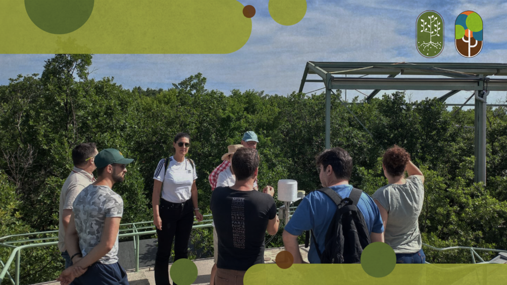 RESTORE visita floresta na França