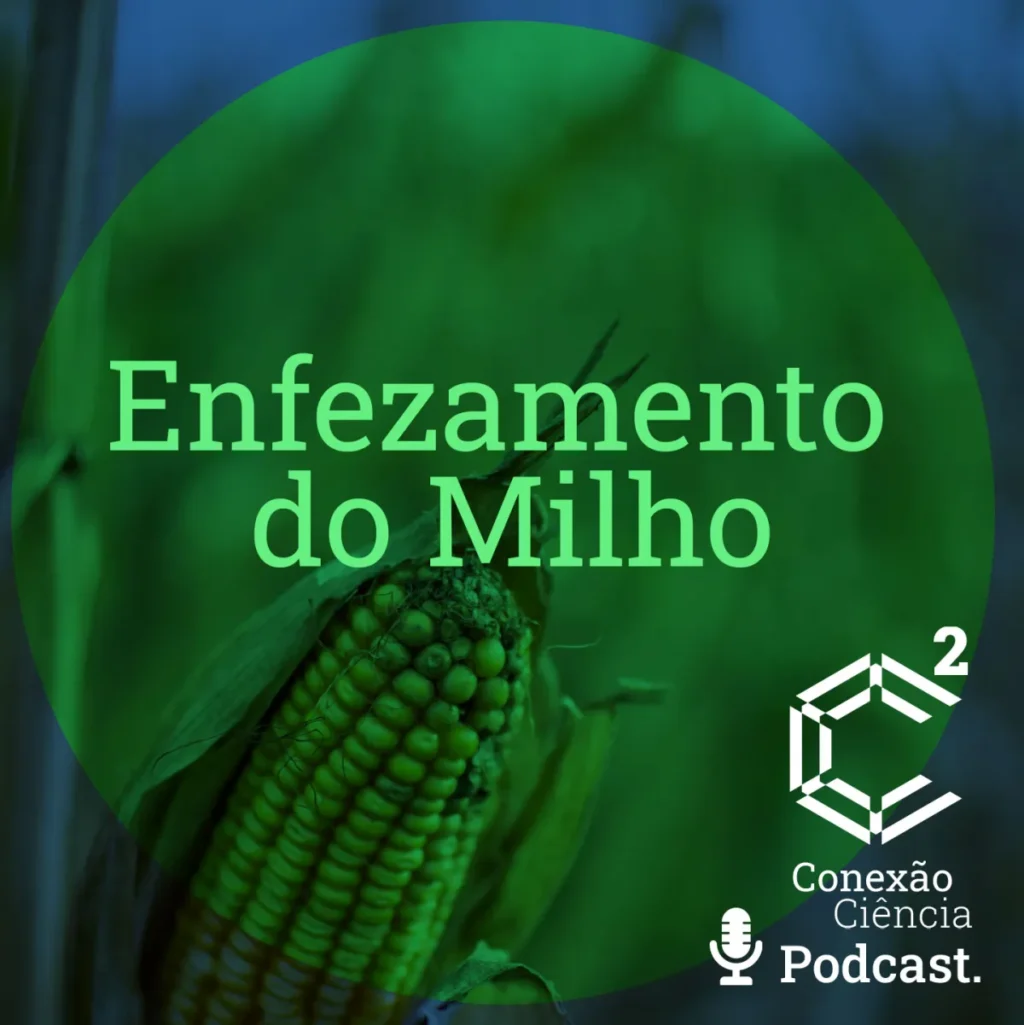 Conexão Enfezamento do Milho