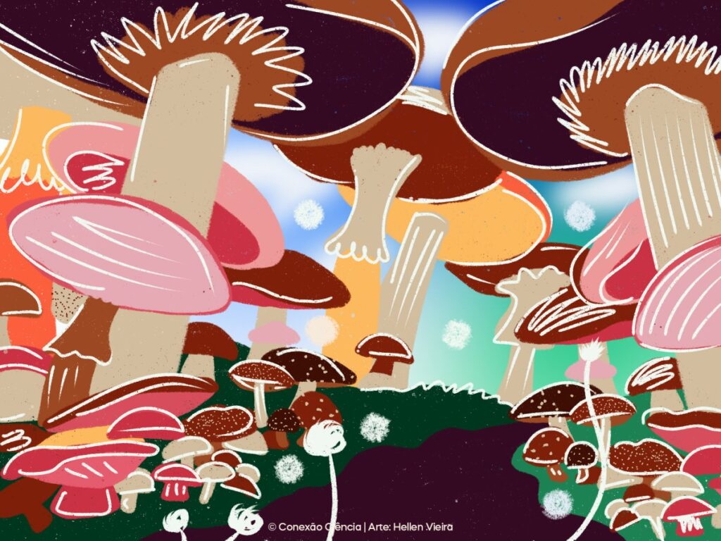 Reino Fungi, o nosso malvado favorito