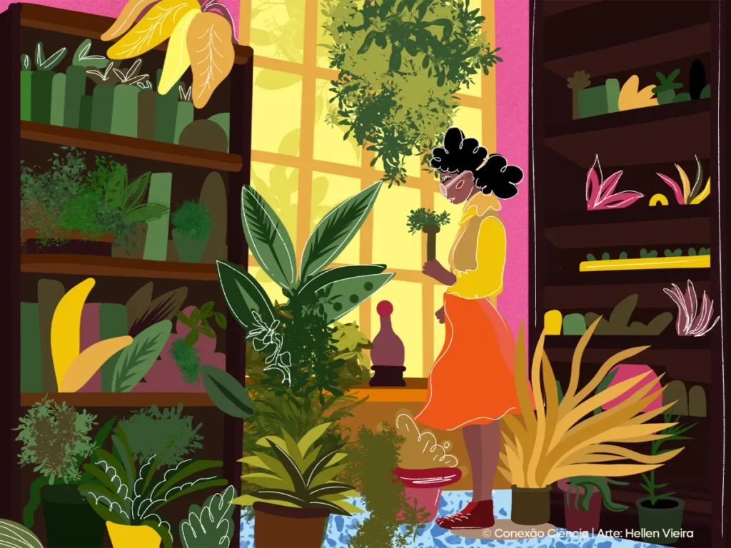 Herbário, o maravilhoso mundo das plantas, a…