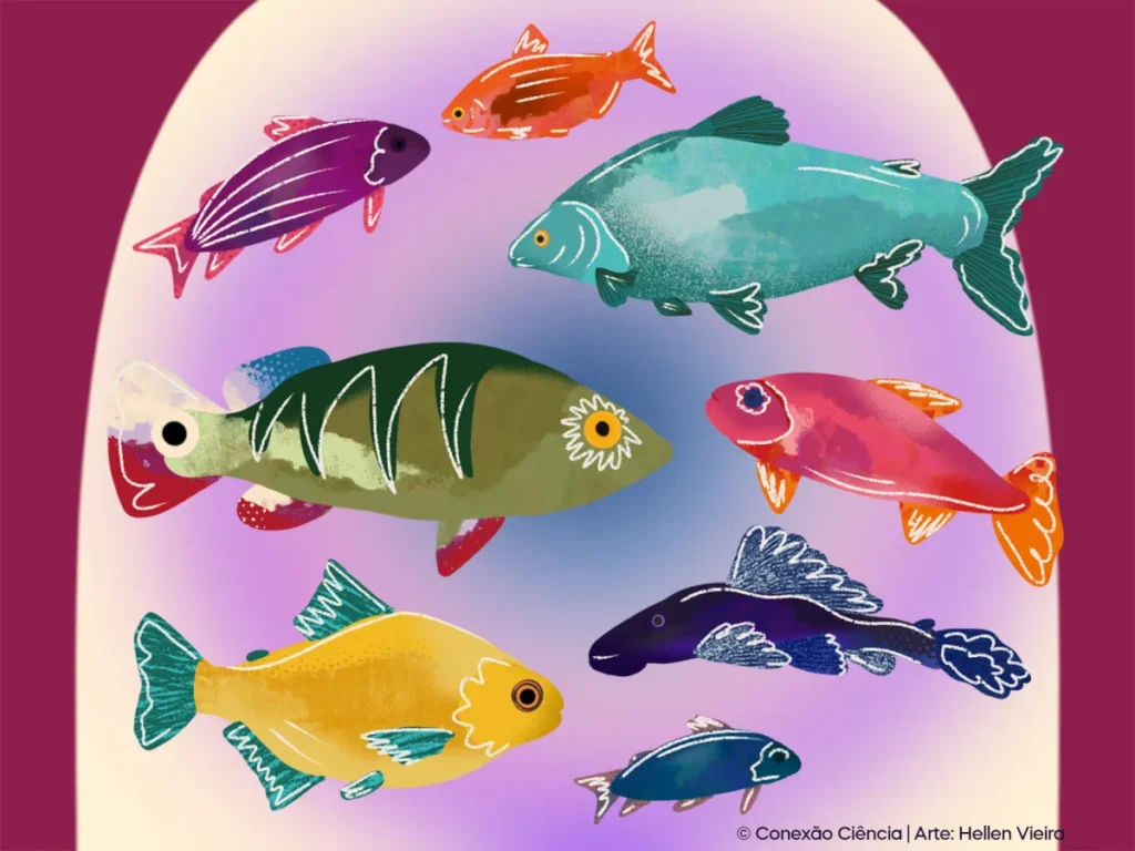 Nossos amigos, os peixes do Rio Paraná