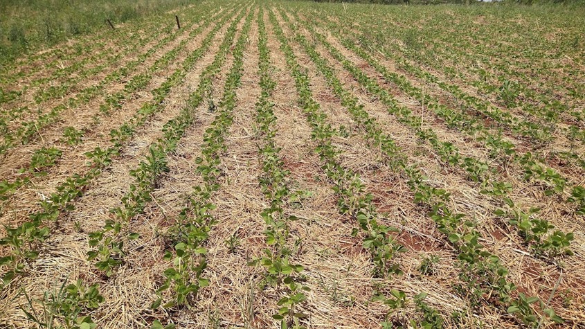 NAPI Rede AgroBioAlimentar
