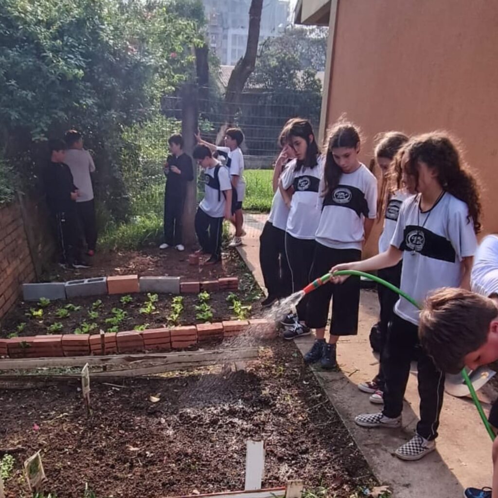Clube de Ciência em Curitiba estuda implantação…