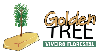 Golden Tree Viveiro Florestal (Guarapuava-PR)