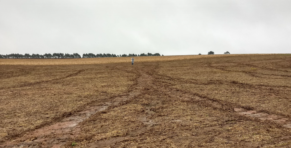 Plantio direto e terraços garantem maior produtividade&hellip;