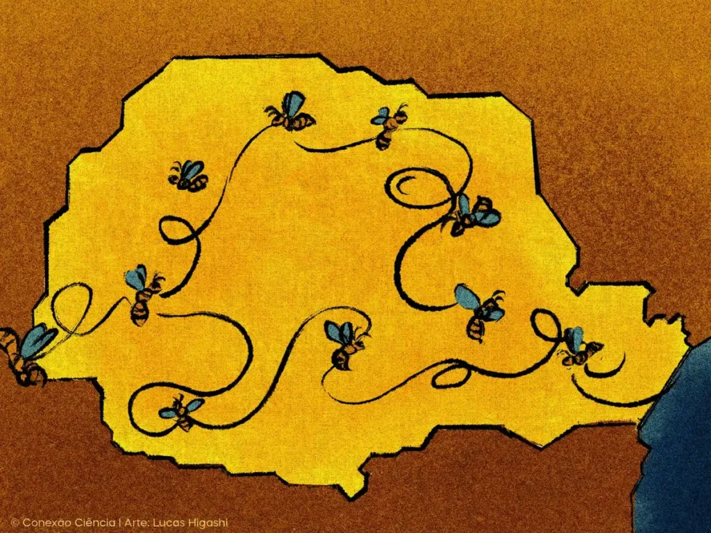 Abelhas: é preciso cuidar dessas heroínas