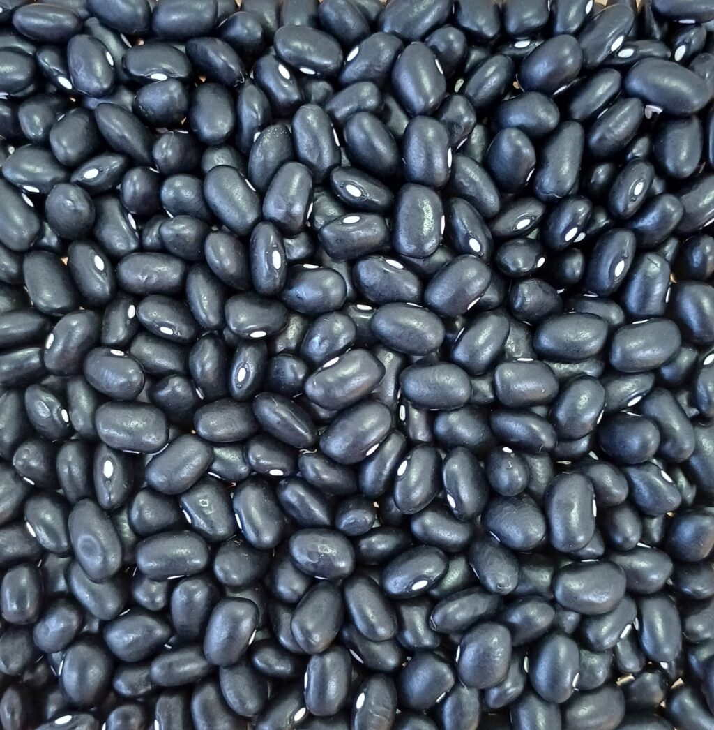 NAPI Agrogenômica: Feijão