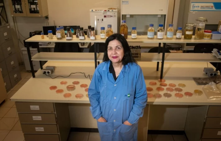 Agronomia: substantivo feminino