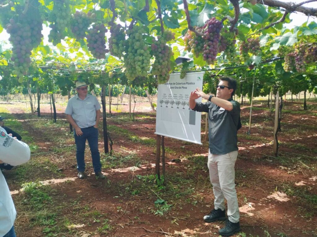 Marialva recebe 2ª Jornada Tecnológica em Fruticultura&hellip;