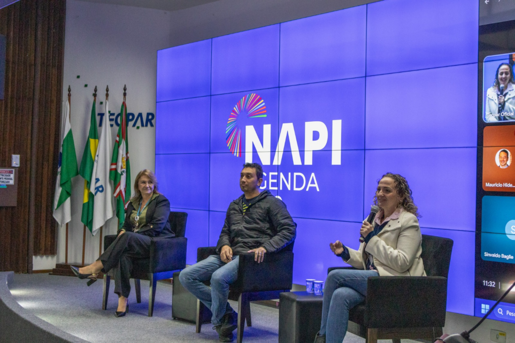 NAPI Agenda 2030